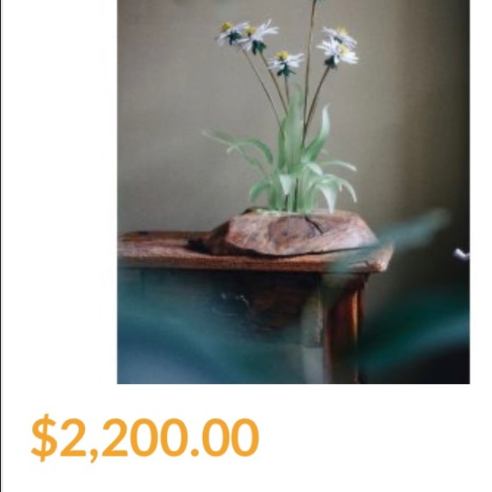 Fusion - Picture 7 of 7